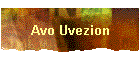 Avo Uvezion