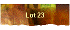 Lot 23