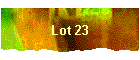 Lot 23