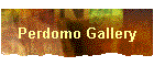 Perdomo Gallery