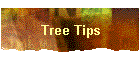 Tree Tips
